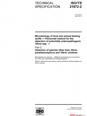 ISO/TS 21872-2:2007 PDF