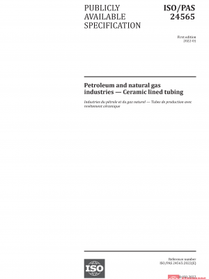 ISO/PAS 24565:2022 PDF
