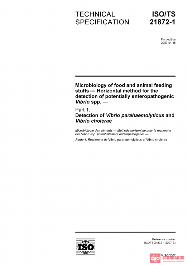 ISO/TS 21872-1:2007 PDF