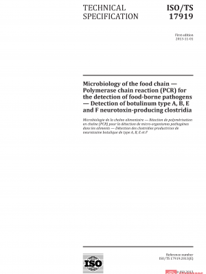 ISO/TS 17919:2013 PDF