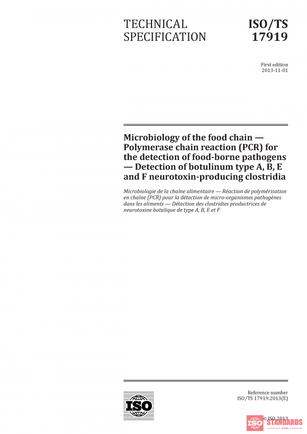 ISO/TS 17919:2013 PDF