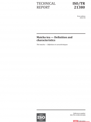 ISO/TR 21380:2022 PDF