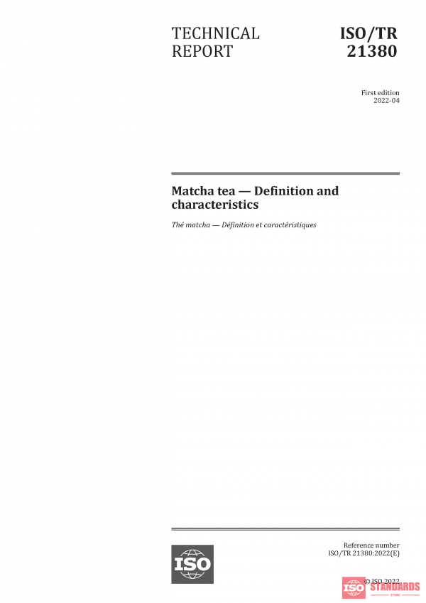 ISO/TR 21380:2022 PDF