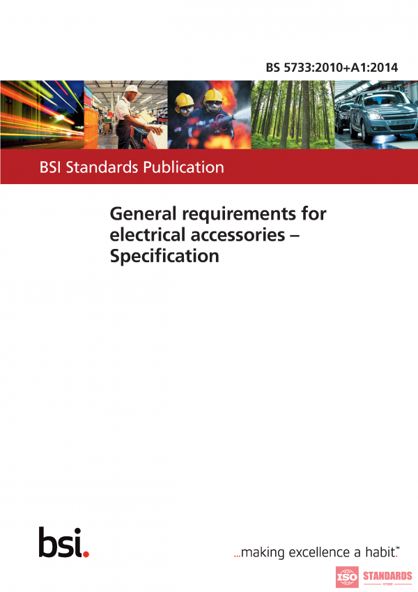 BS 5733 WGP A1:2014 V4:2010 PDF