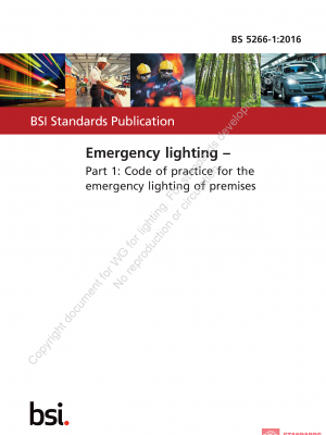 BS 5266 WG-1:2016 PDF