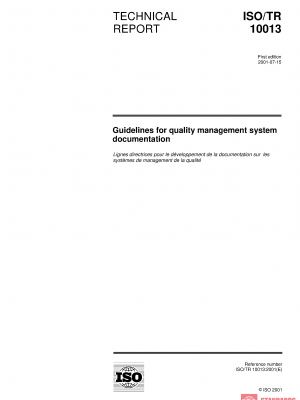 ISO/TR 10013:2001 PDF