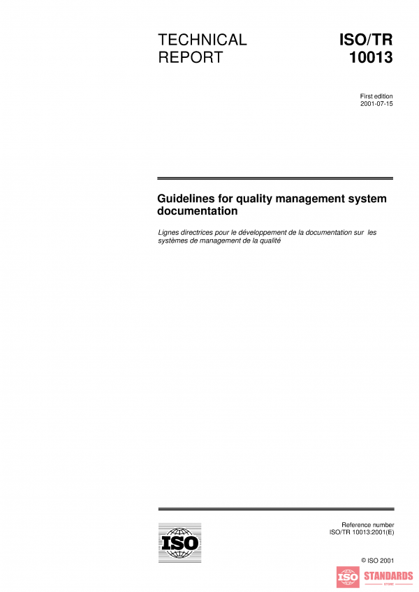 ISO/TR 10013:2001 PDF