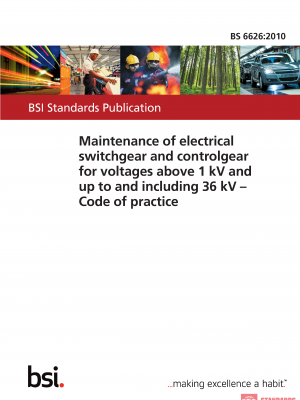 BS 6626 :2010 PDF