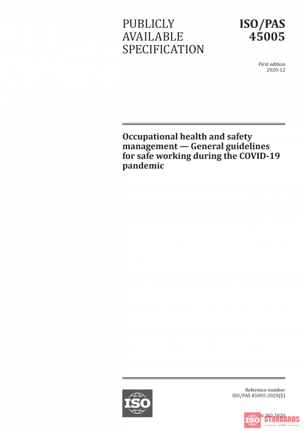 ISO/PAS 45005:2020 PDF