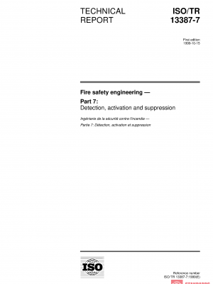 ISO/TR 13387-7:1999 PDF