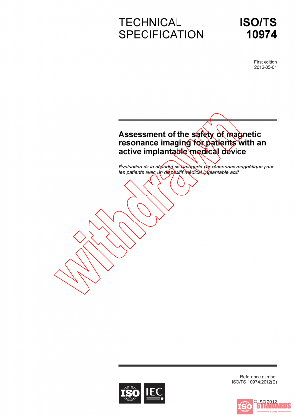 ISO TS 10974:2012 PDF
