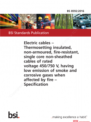 BS 8592 :2016 PDF
