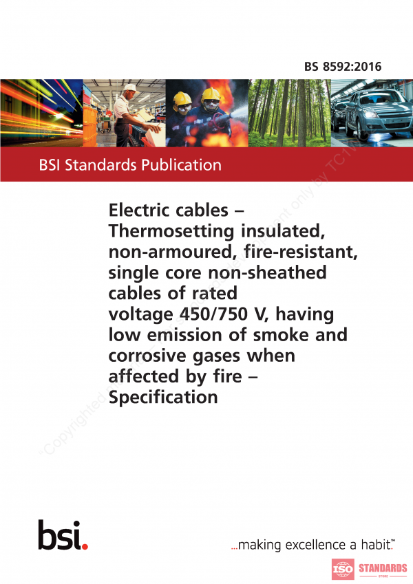 BS 8592 :2016 PDF