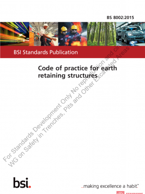 BS 8002 WG:2015 PDF