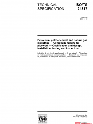 ISO/TS 24817:2006 PDF