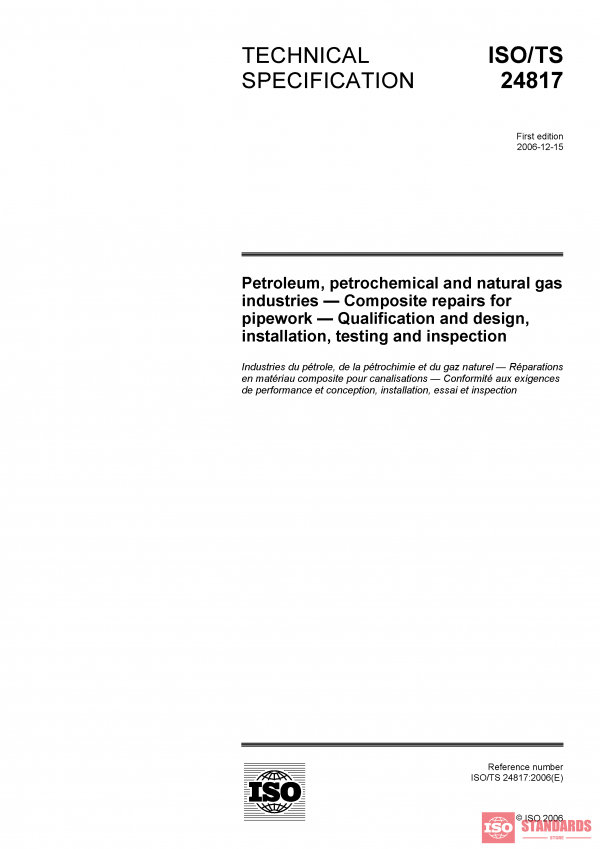 ISO/TS 24817:2006 PDF