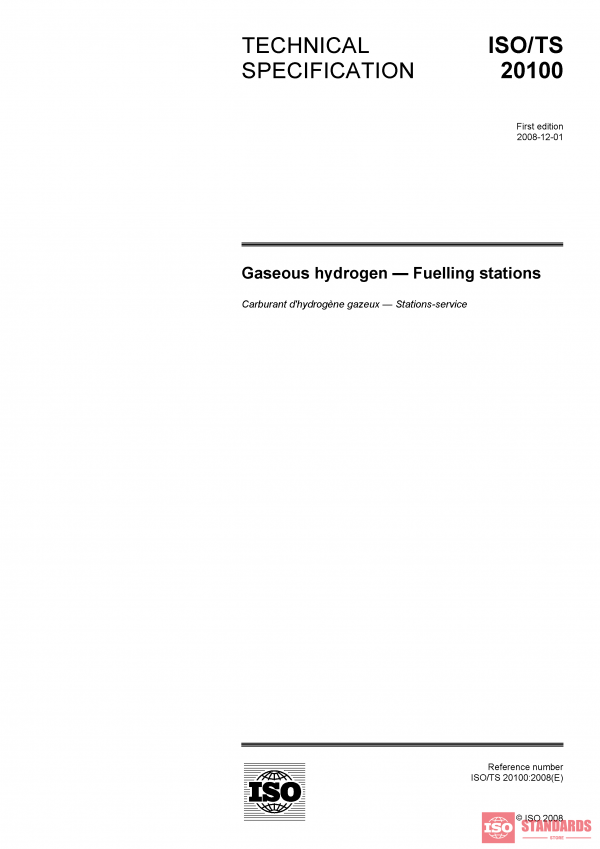 ISO/TS 20100:2008 PDF