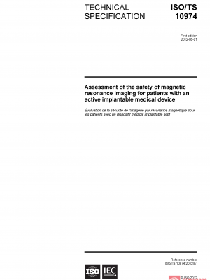 ISO/TS 10974:2012 PDF