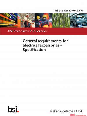 BS 5733 :2010+A1:2014 – WG Plugs:2010 PDF