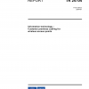 ISO/IEC TR 24704:2004 PDF