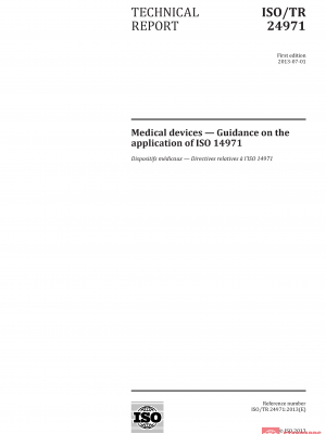 ISO/TR 24971:2013 PDF