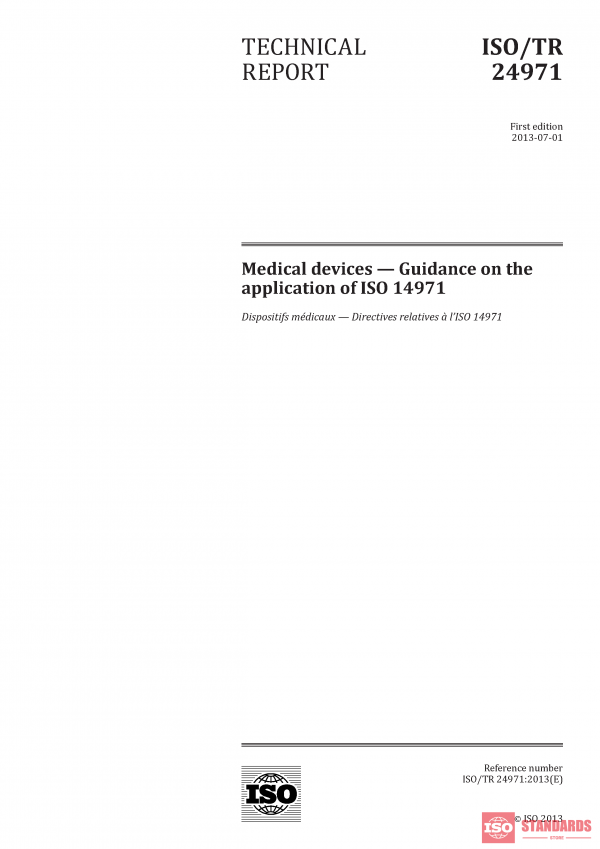 ISO/TR 24971 :2013 PDF