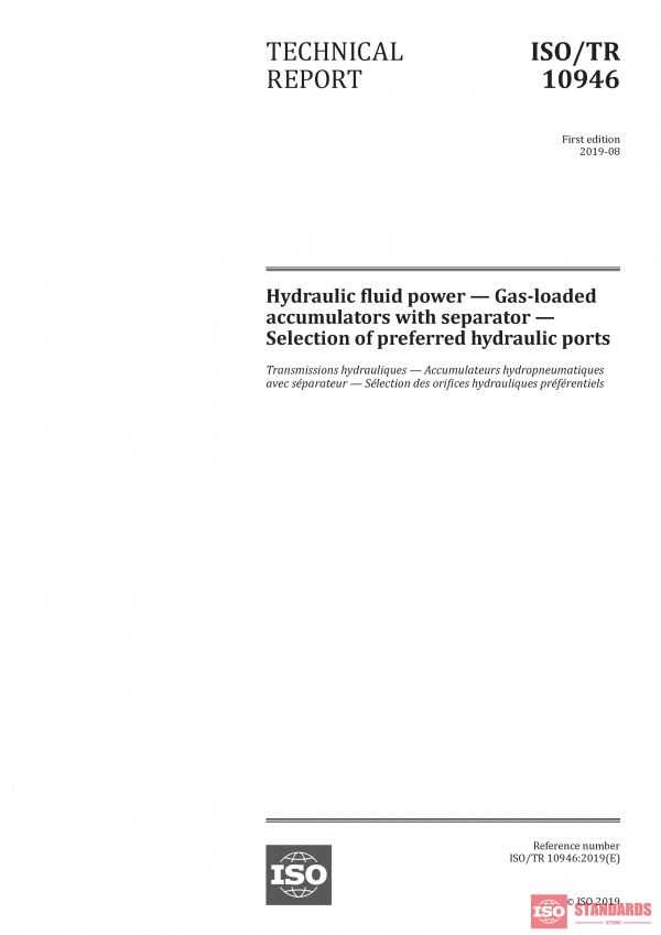 ISO/TR 10946:2019 PDF