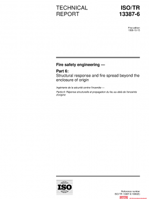 ISO/TR 13387-6:1999 PDF
