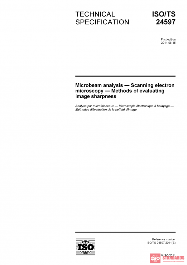ISO/TS 24597:2011 PDF