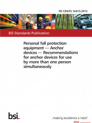 PD CEN/TS 16415 :2013 PDF