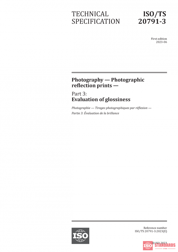 ISO/TS 20791-3:2023 PDF