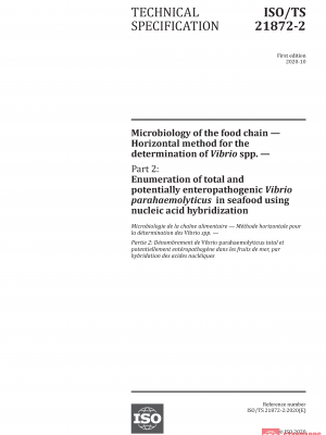 ISO/TS 21872-2:2020 PDF