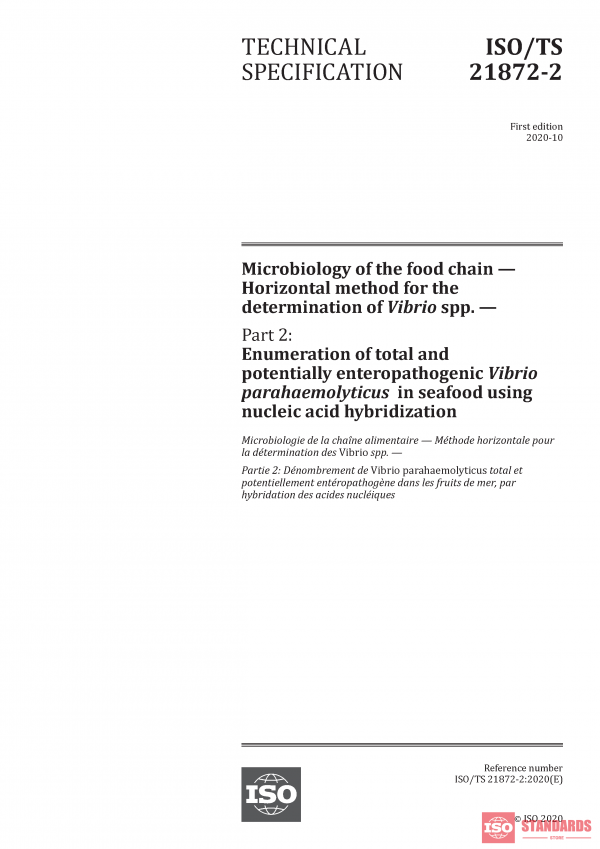 ISO/TS 21872-2:2020 PDF
