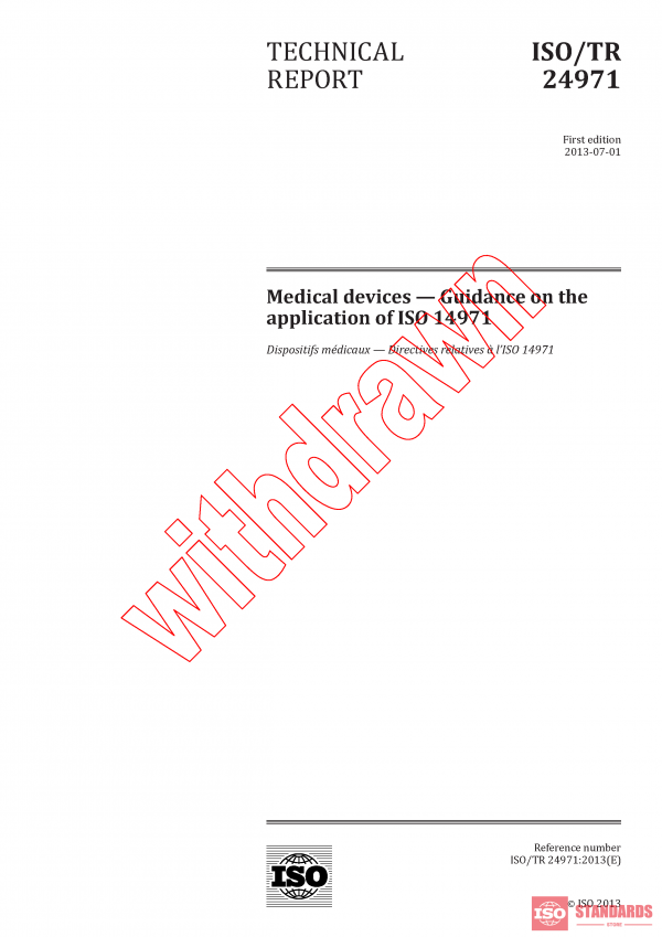 ISO TR 24971:2013 PDF