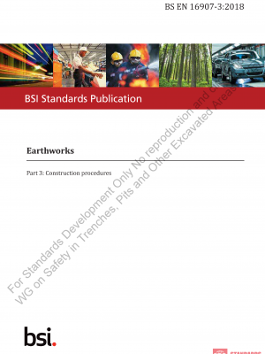 BS EN 16907 WG 3:2018 PDF