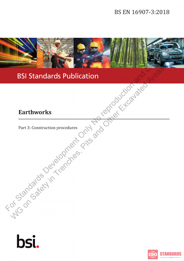BS EN 16907 WG 3:2018 PDF