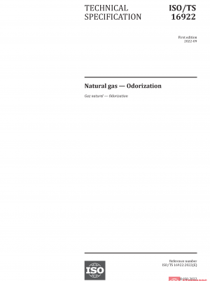 ISO/TS 16922:2022 PDF