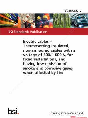 BS 8573 :2012 PDF