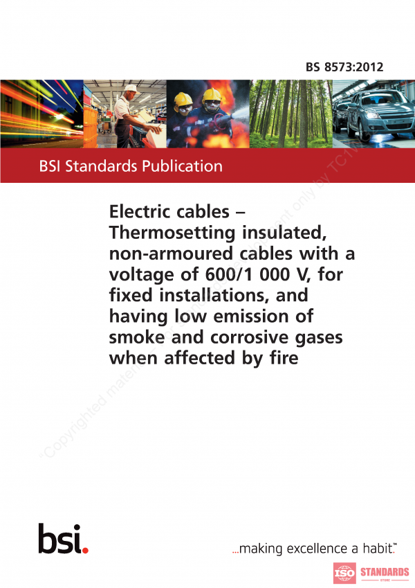 BS 8573 :2012 PDF