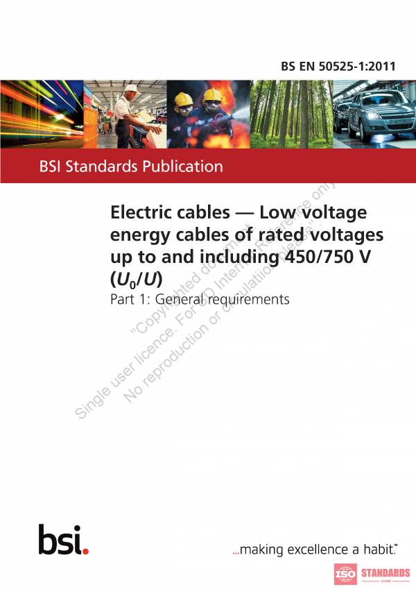 BS EN 50525 1:2011 PDF
